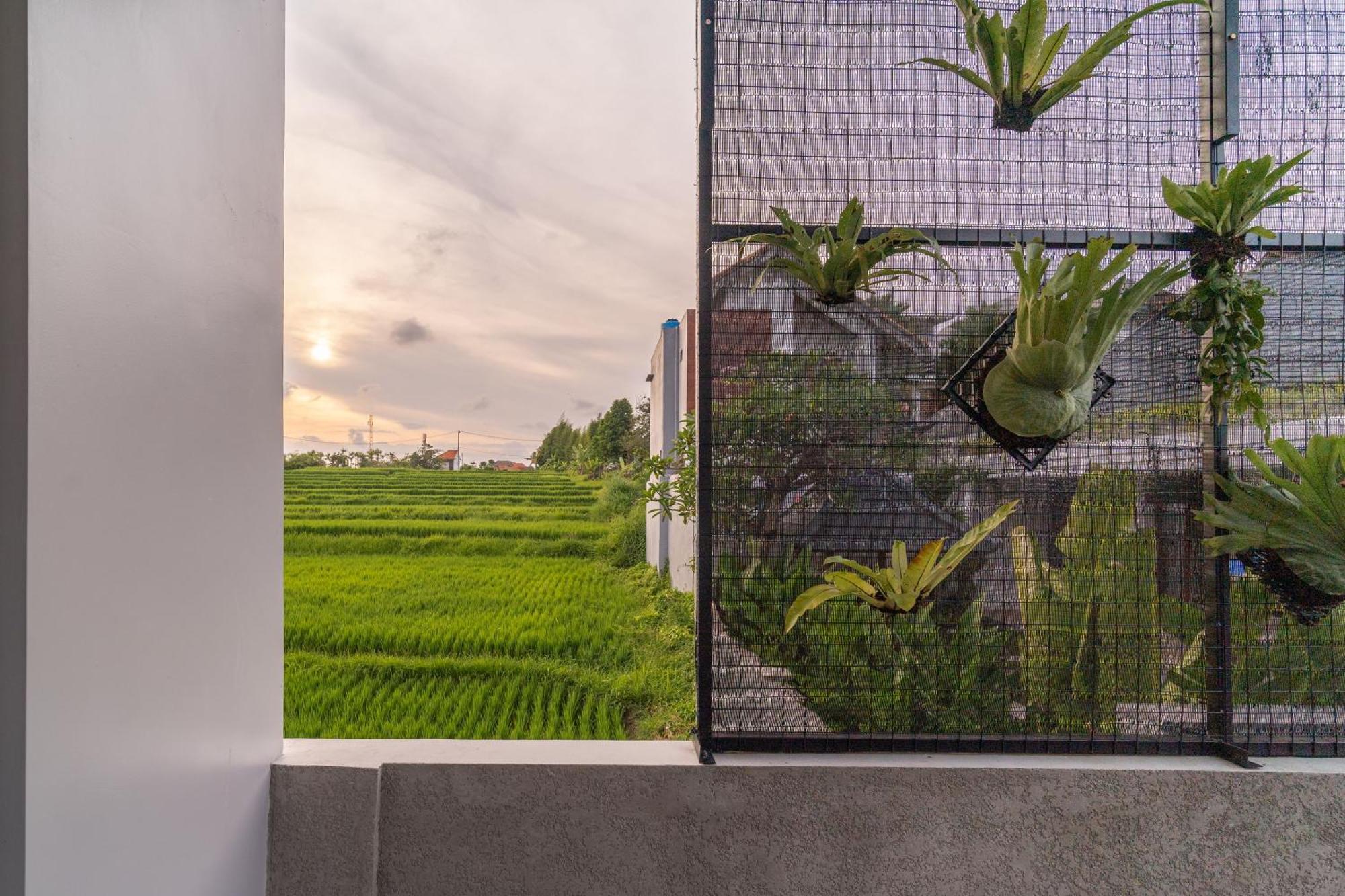 D'Macho Villas Ubud Exteriér fotografie